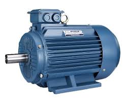 3HP Induction Motor